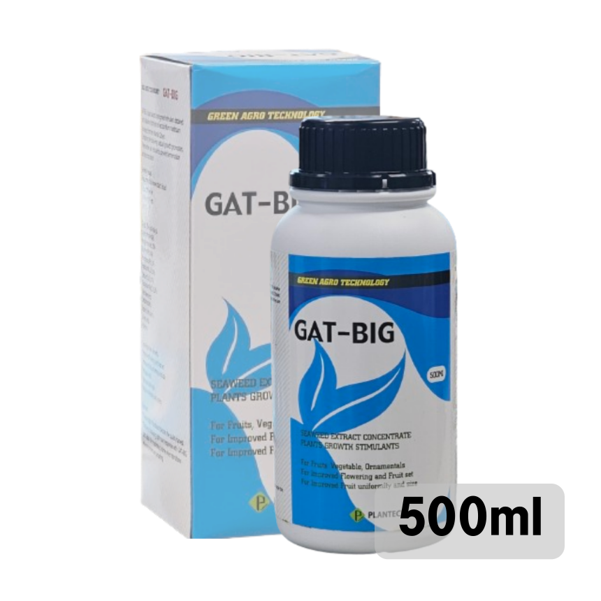 GAT-BIG 지에이티빅 500ml 플란텍 과채류 과수류 구근류 착과비대증진용제제 세포분열 비대제 : 파머스닥터