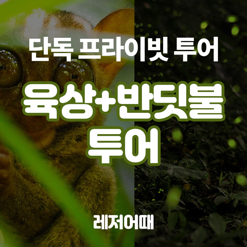 [단독] 보홀 육상+반딧불 프라이빗투어 : 레저어때