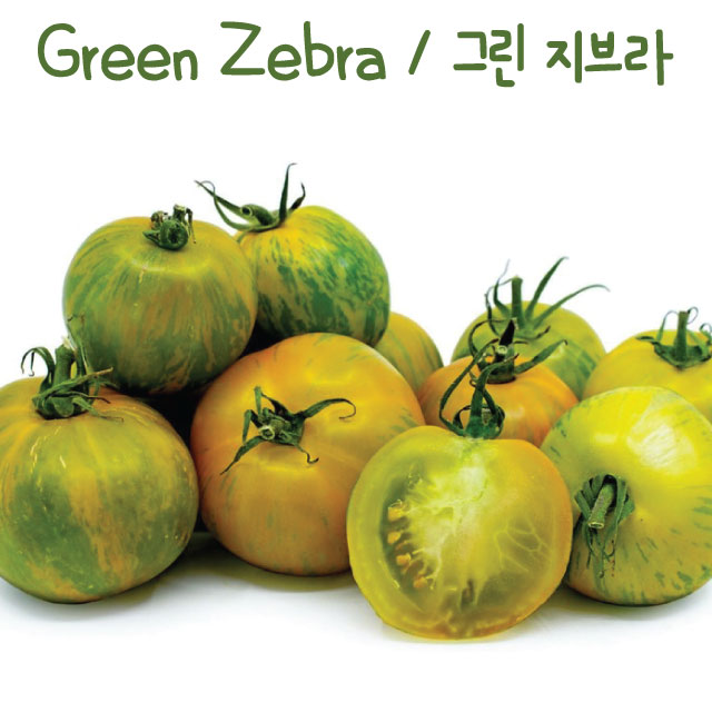그린 지브라 Green Zebra 희귀토마토 가보 토마토 교육용 체험용세트 : 나만아는