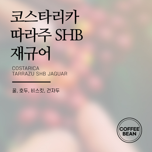 [원두]행복한커피 코스타리카 따라쥬 SHB 재규어 500g : 행복한플레이스커피