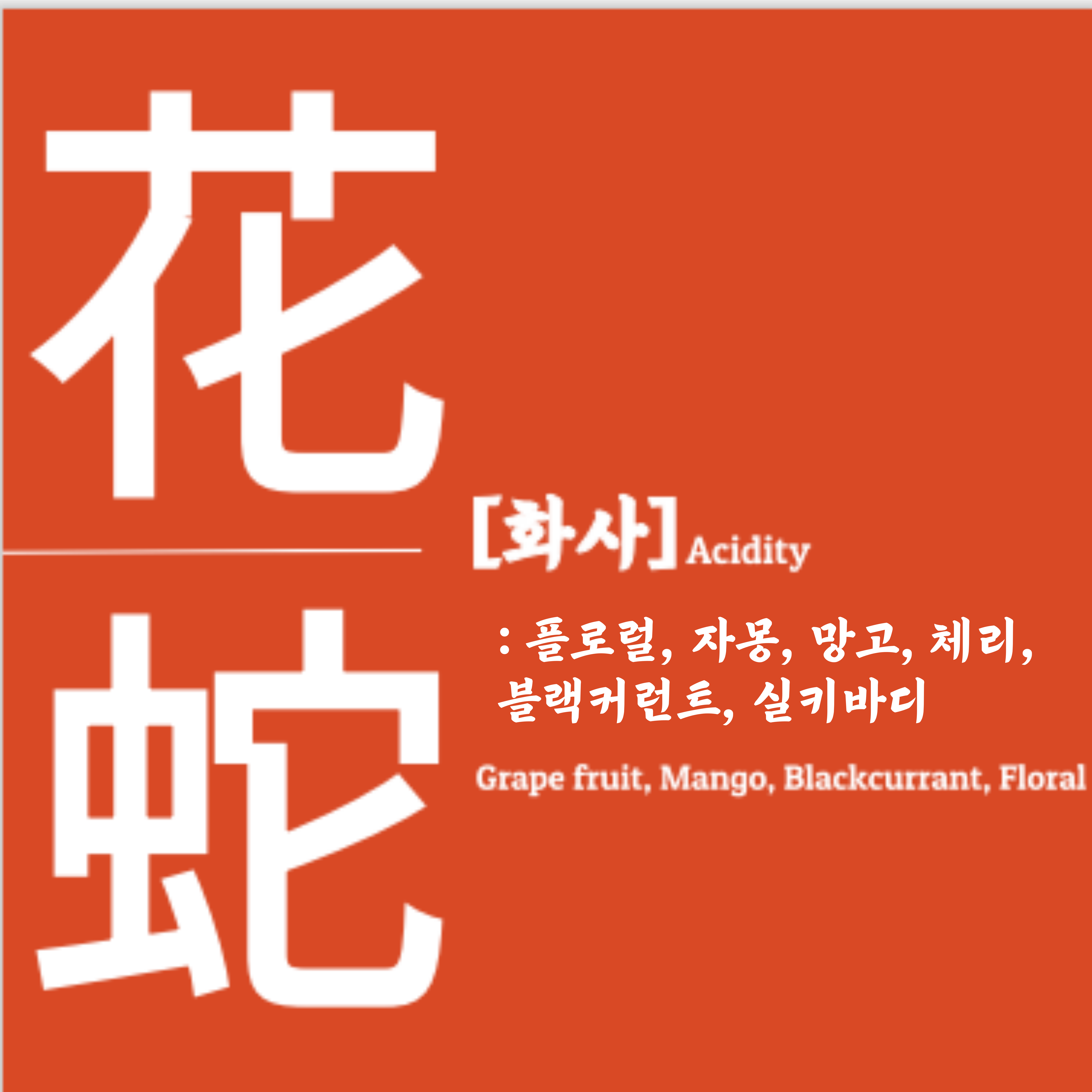 베큠커피 화사블랜딩[200g, 500g, 1kg, 4kg] : 베큠커피