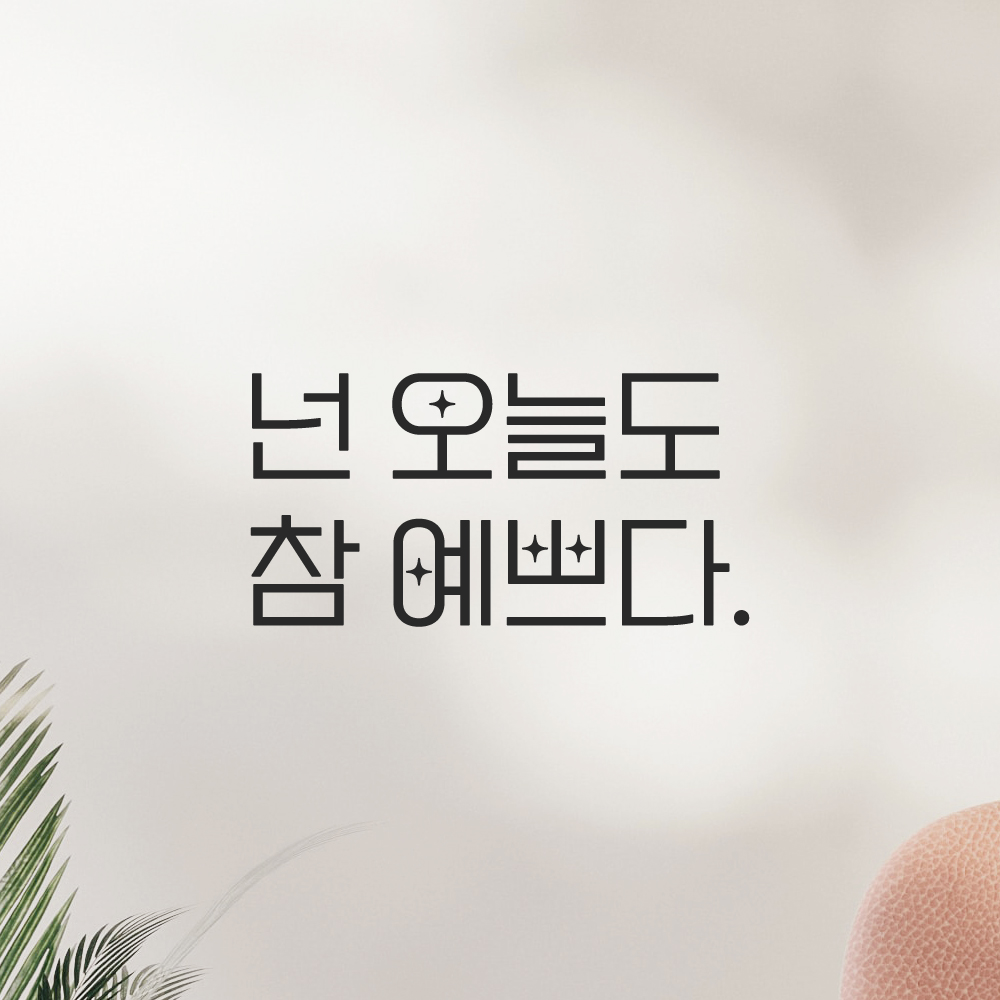 인테리어 포인트 예쁜 별폰트 레터링 스티커 넌 오늘도 참 예쁘다 LPP-016S검정 : 어썸투데이