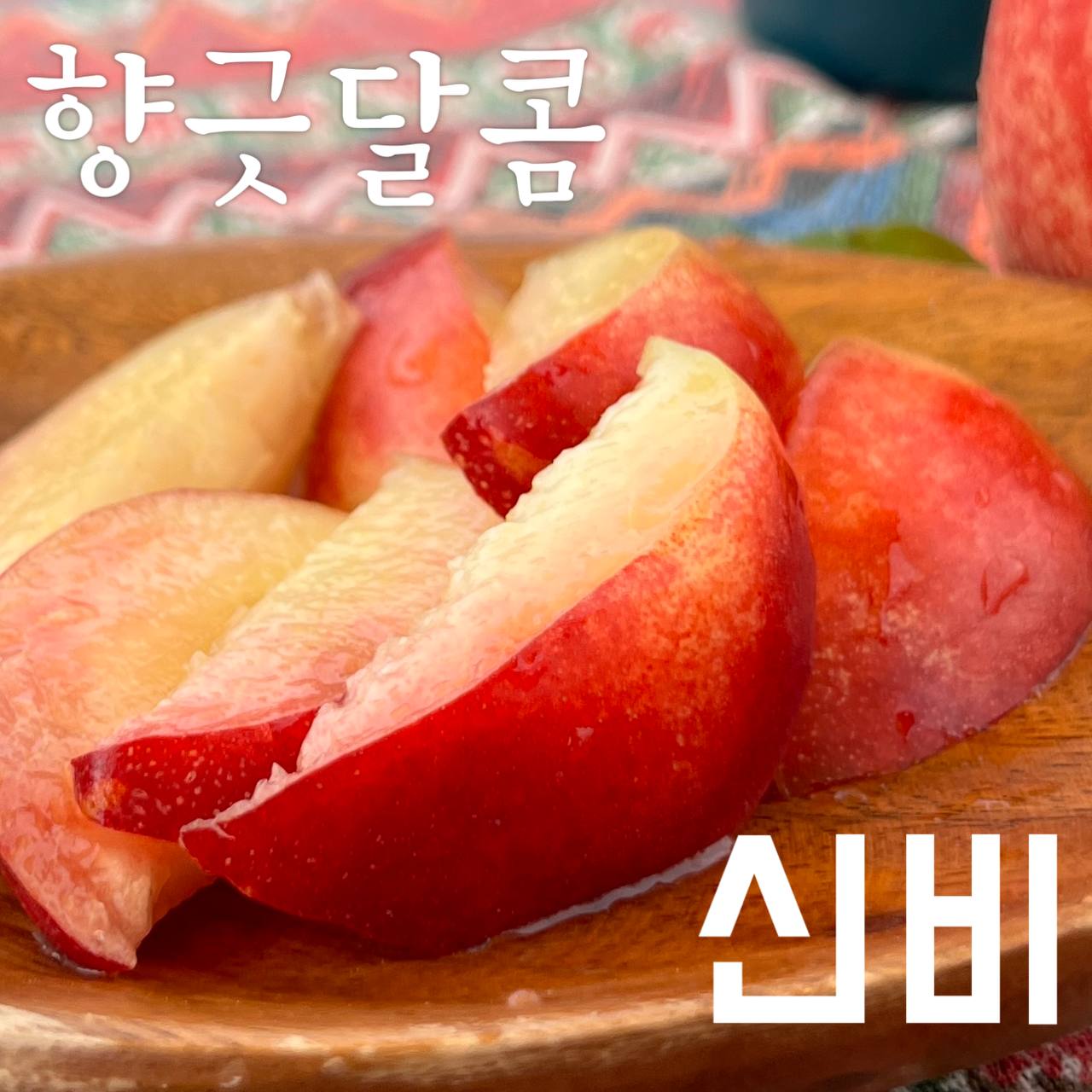 팜블리네 햇살어린복숭아 신비 백도 황도 천중도 미황 천도 마도카 엘바트 딱딱이 말랑이 복숭아 : 집앞애딸기