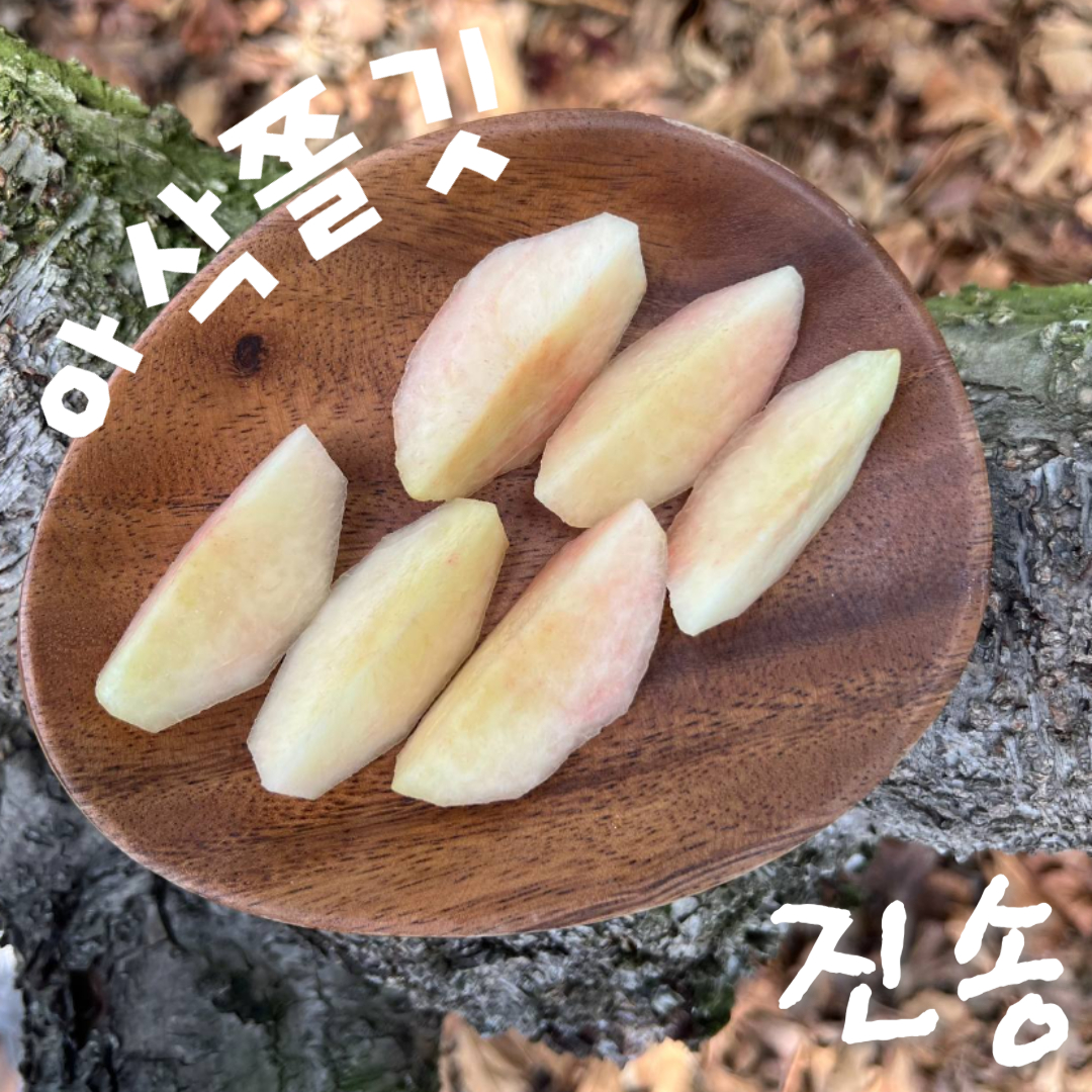 팜블리네 햇살어린복숭아 신비 백도 황도 천중도 미황 천도 마도카 엘바트 딱딱이 말랑이 복숭아 : 집앞애딸기
