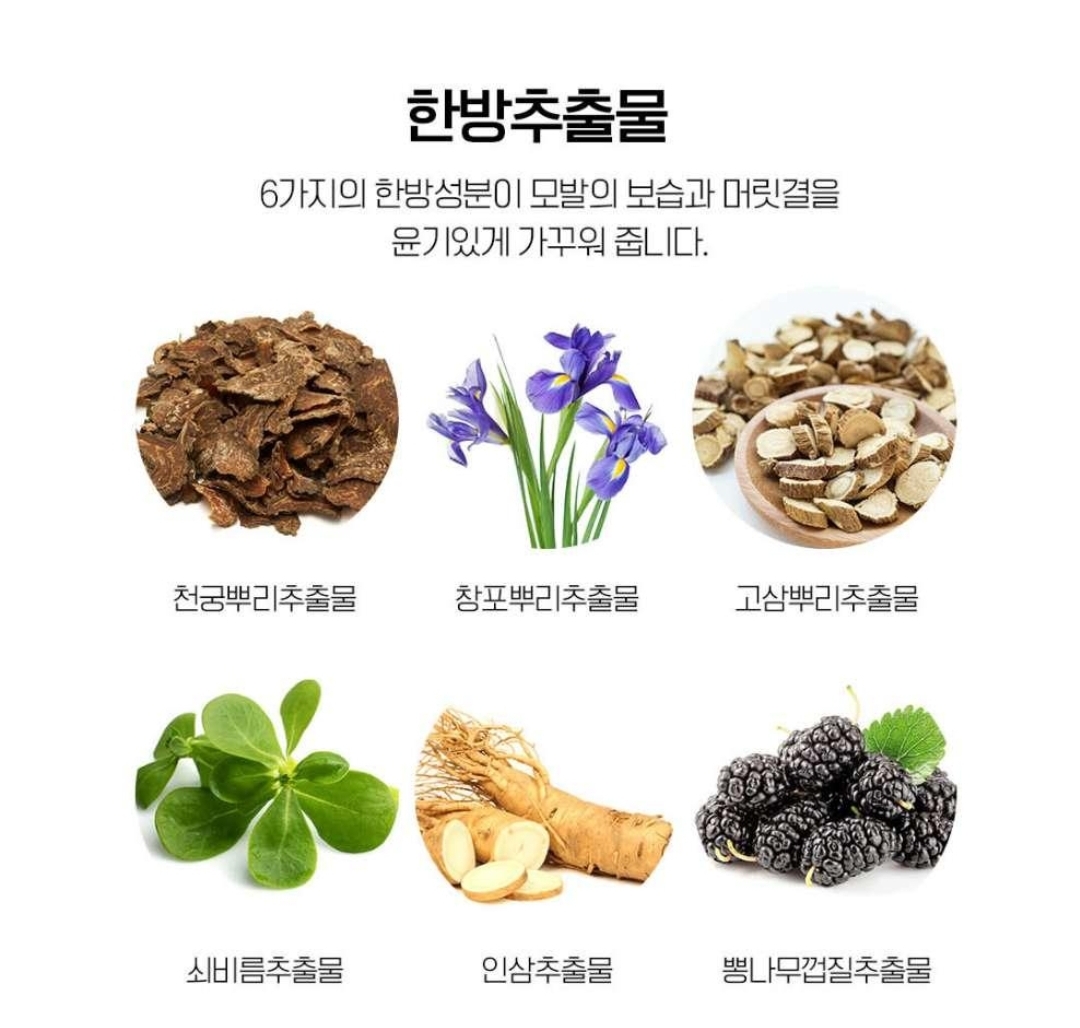 노니 솔루션 헤어 트리트먼트 750ml : 주식회사 더바램