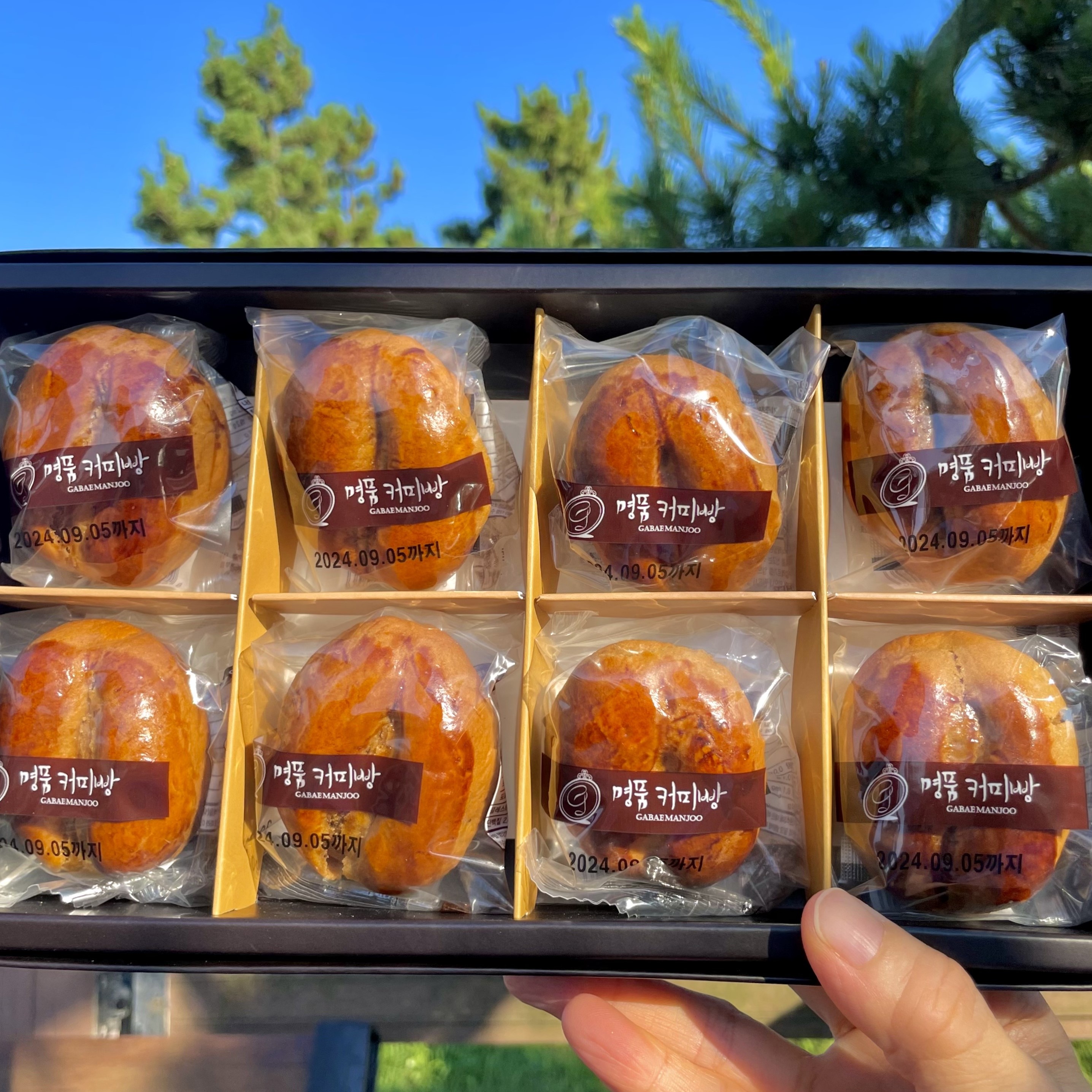 강릉 특산품 커피빵 가배만쥬 강릉시관광기념품 커피콩빵 여행 선물 : 강릉아짐네