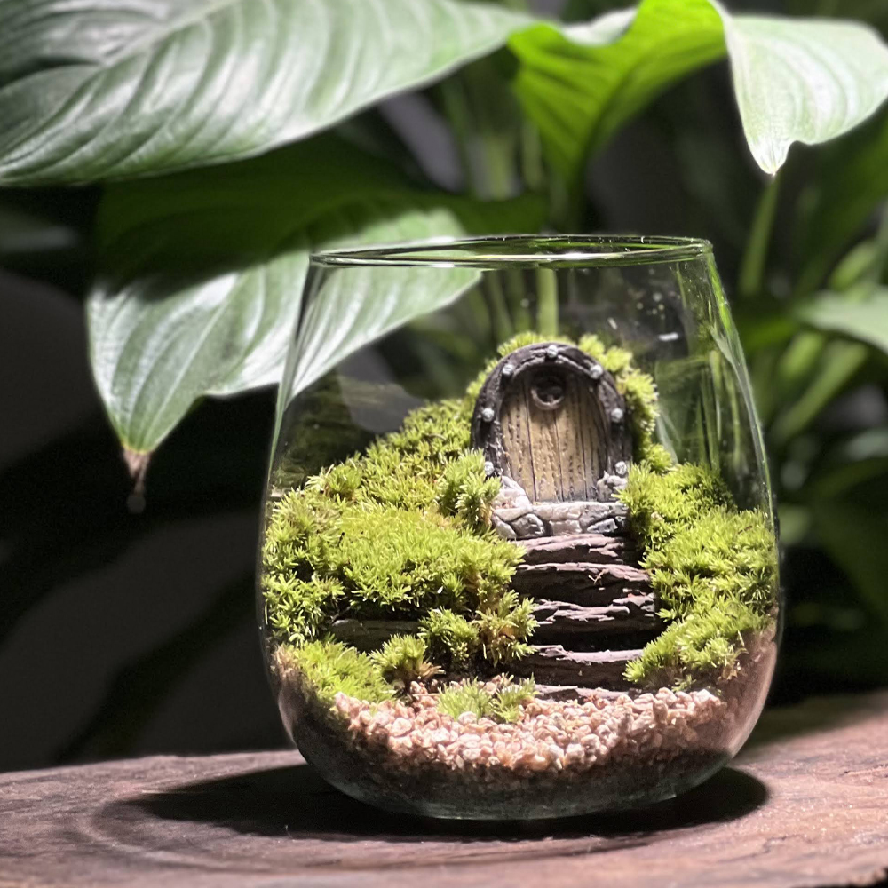 오크하우스 테라리움 키트 비단이끼 테라리움 만들기 선물 DIY : 어반스프롤