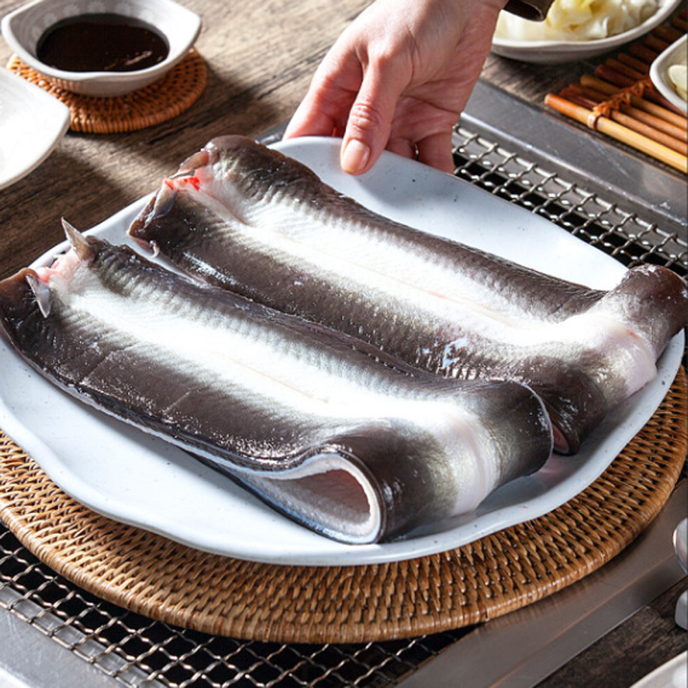 국내100% 자연산 바다장어 대 사이즈 1kg : 파미르마켓