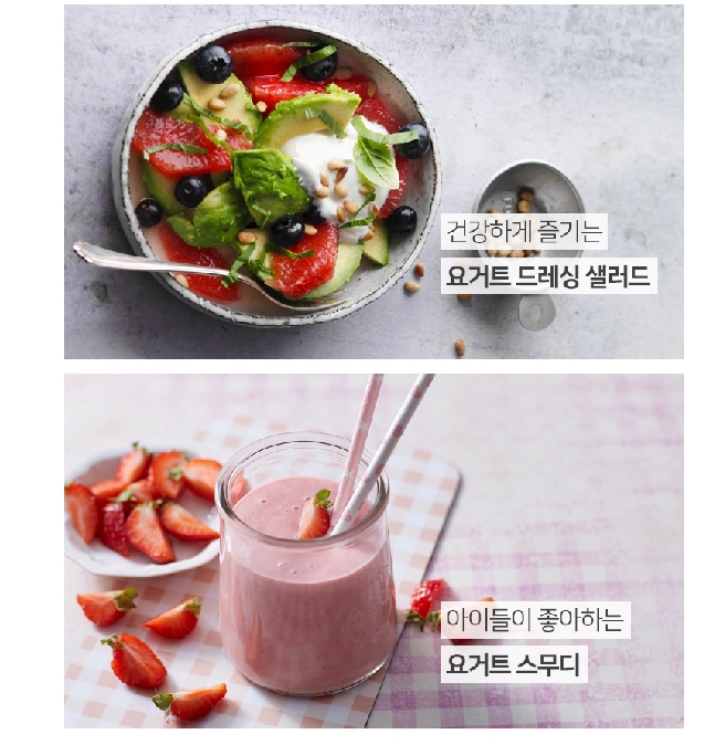 요거트메이커 키친아트 밀크요거박스 수제요거트 만들기 : 마이 엔돌핀