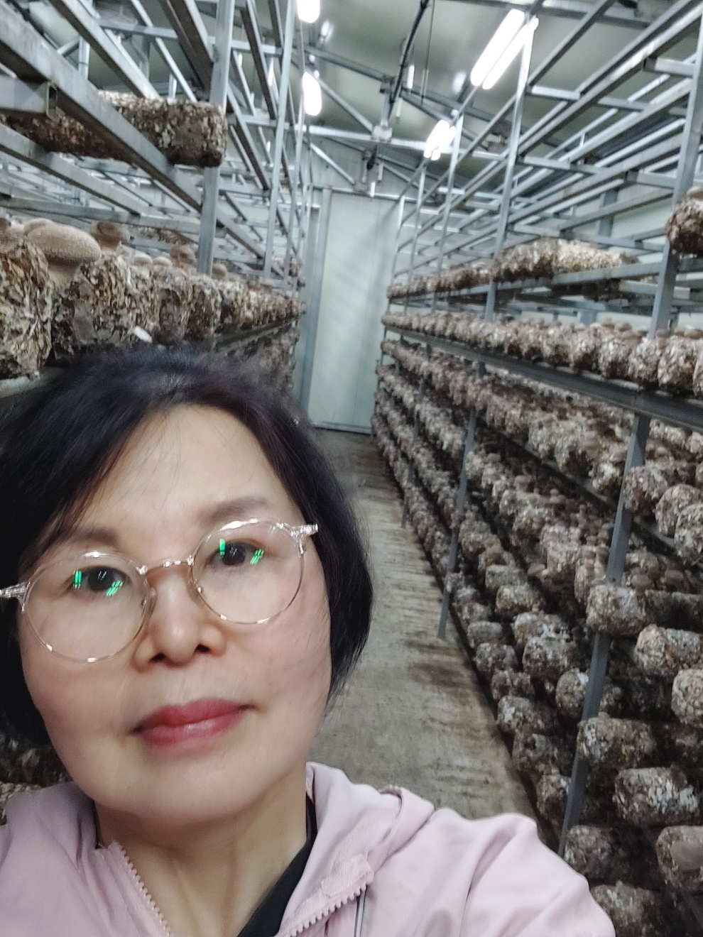 [강산머쉬랜드] 국내산 건강한 표고버섯 : 홍천미팜