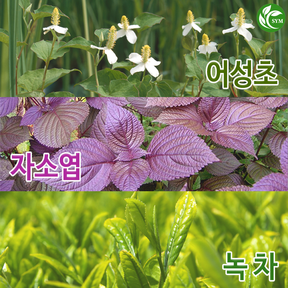 신영몰 어소녹 헤어스프레이 200ml 어성초/자소엽/녹차 : 신영 몰
