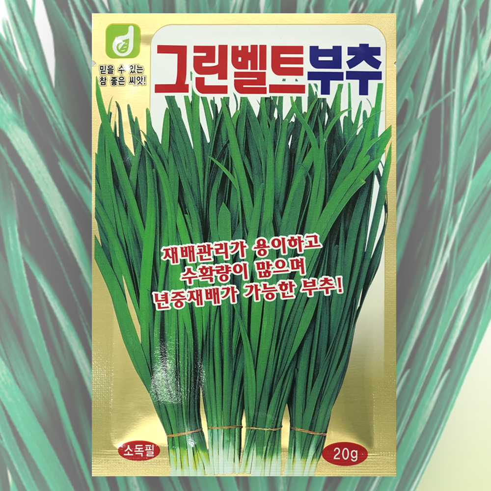 부추씨앗 그린벨트부추씨앗 20g 한국대농종묘 부추종자 텃밭가꾸기 : 대농종묘