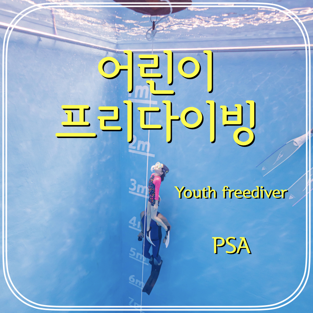 유스프리다이빙 : 세종프리다이빙