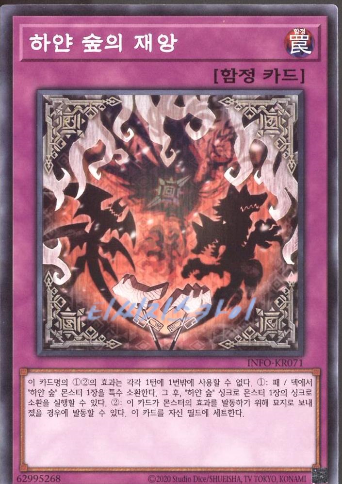 하얀숲의재앙(INFO-KR071)Normal : 티씨지팩토리