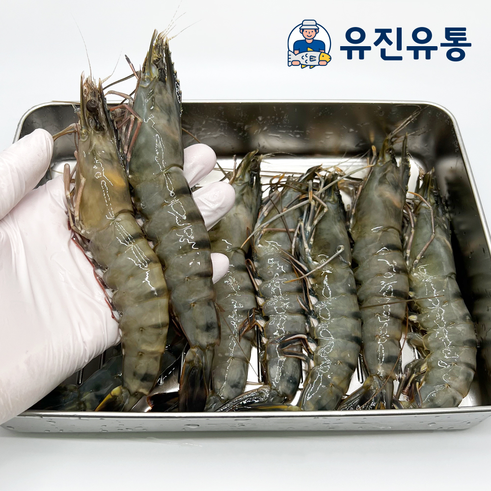 블랙타이거새우 500g 킹타이거 8 10 12미 냉동 캠핑용 보리새우 제철 대하구이 구이용 : 유진유통몰