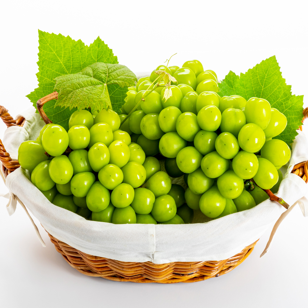 새콤달콤 샤인머스켓 1kg(3수) + 1kg(3수) 실속형 : 오렌지씨