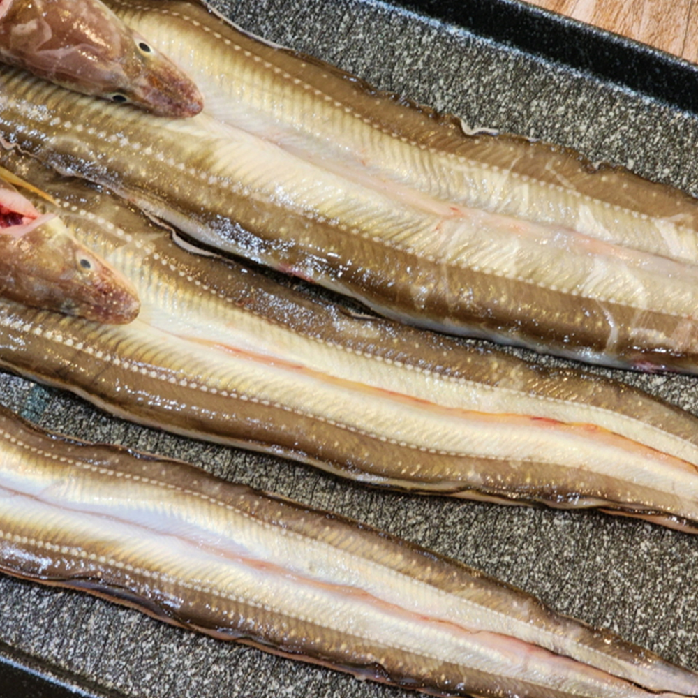 통영 자연산 바다장어 장어 구이 1kg (손질후 650g 내외) 소스2종 : 푸드공작소