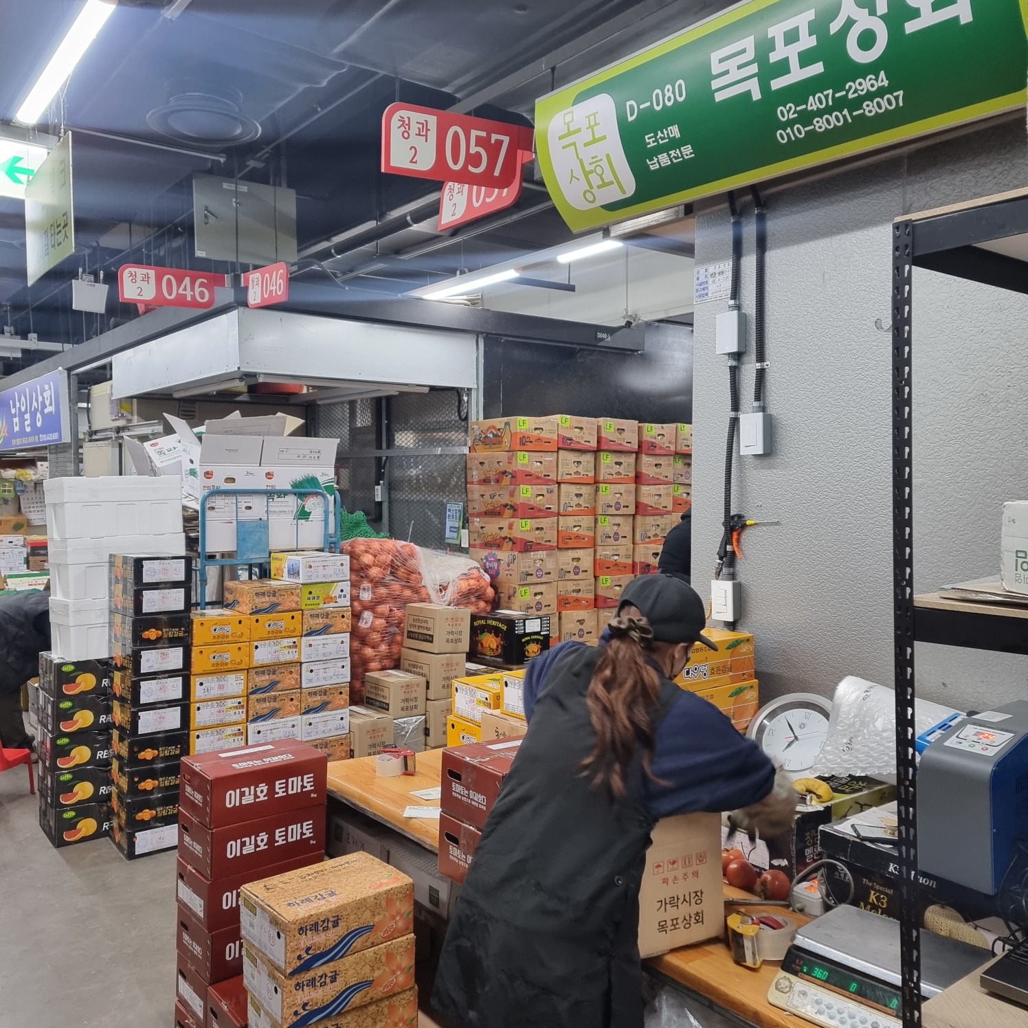 딱딱이 아삭이 조치원 청도 마도카 납작 복숭아 : 가락시장 목포상회 과일