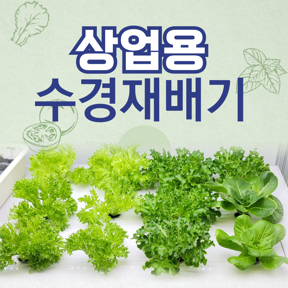 퓨어파믹스 스마트팜 수경재배기 5단 상업용 고효율 식물재배기 : 퀵브루