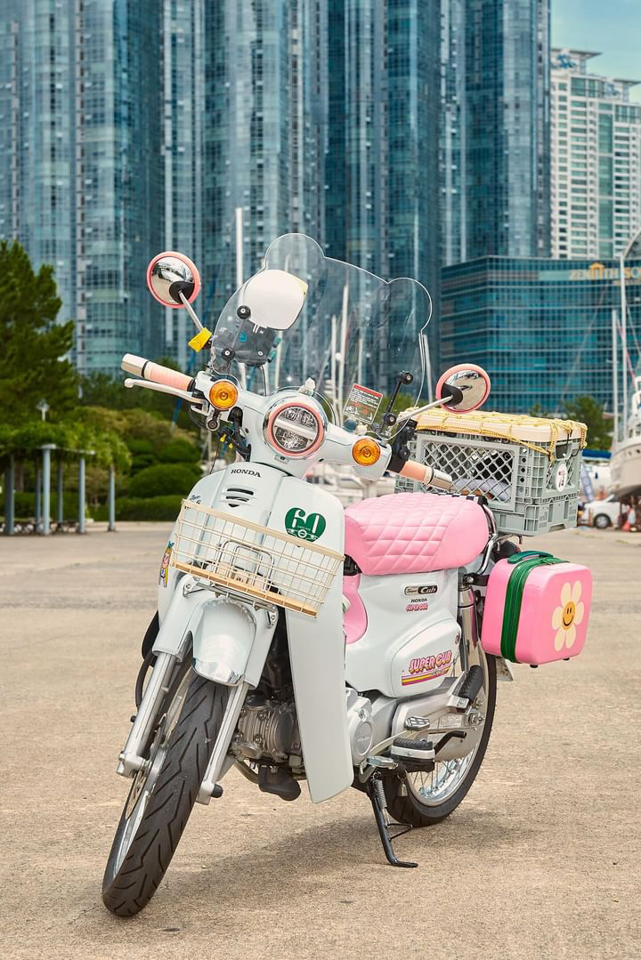 혼다 슈퍼커브 21-25 순흥 고양이 곰돌이 숏 스크린 : ridermart