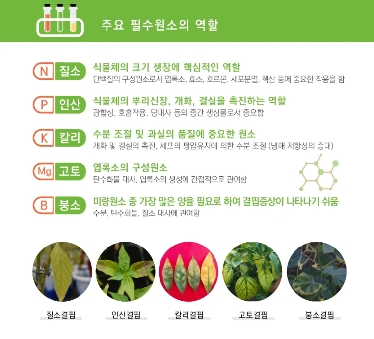 순수 천연비료 바이오테크 부엽토 천연부엽토 태흥 20kg : 진천팜 농자재 마트