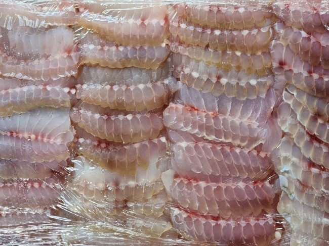 국내산 홍어회 목포 흑산도 홍어 1kg : 해진이네농수산