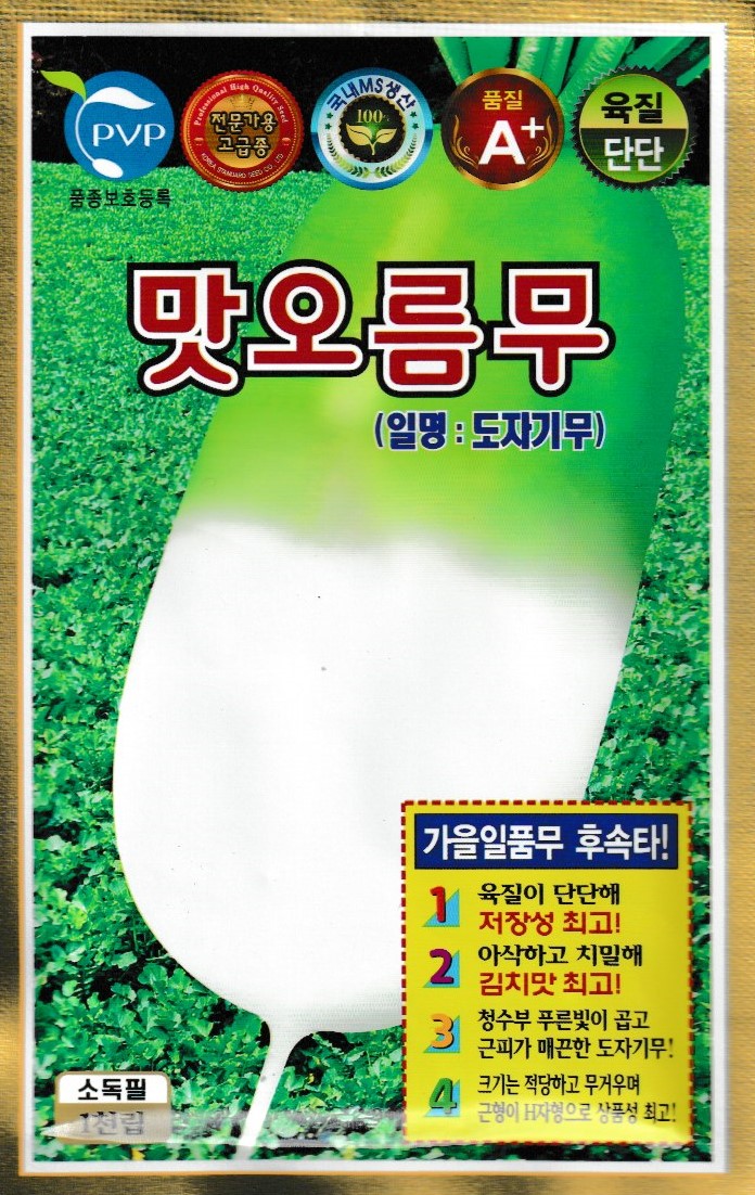 김장무씨앗 종자 맛오름무씨앗 무우씨 도자기무 1000립 가을 : 다판다농부