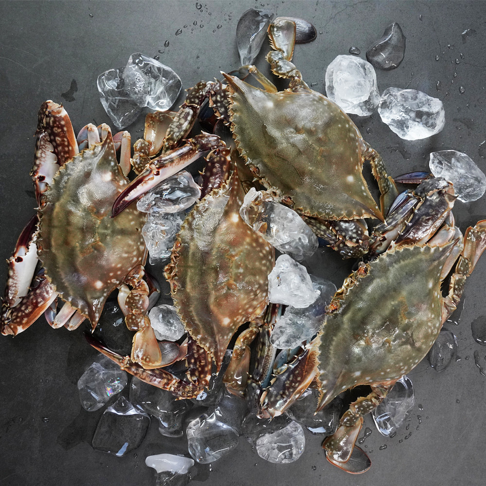제철 당일바리 활꽃게 서해안 태안 꽃게 1kg 급냉꽃게 암꽃게 숫꽃게 : 푸드스토리365