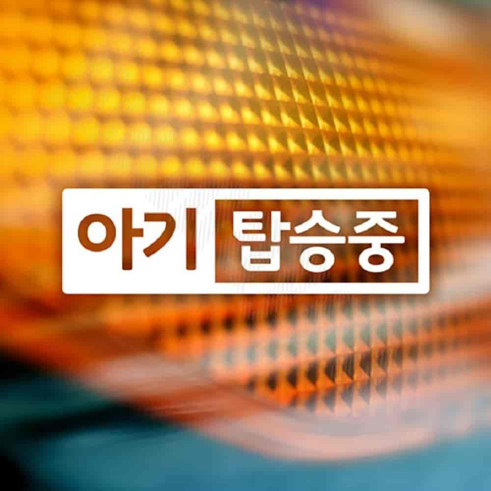 반전프레임 아기탑승중 자동차스티커 화이트 유리창스티커 유리스티커 : 나나연