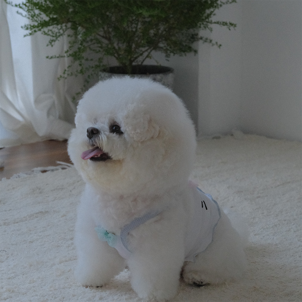 베베브레스 부부 크롭 탑 - BuBu crop top white : 베베브레스