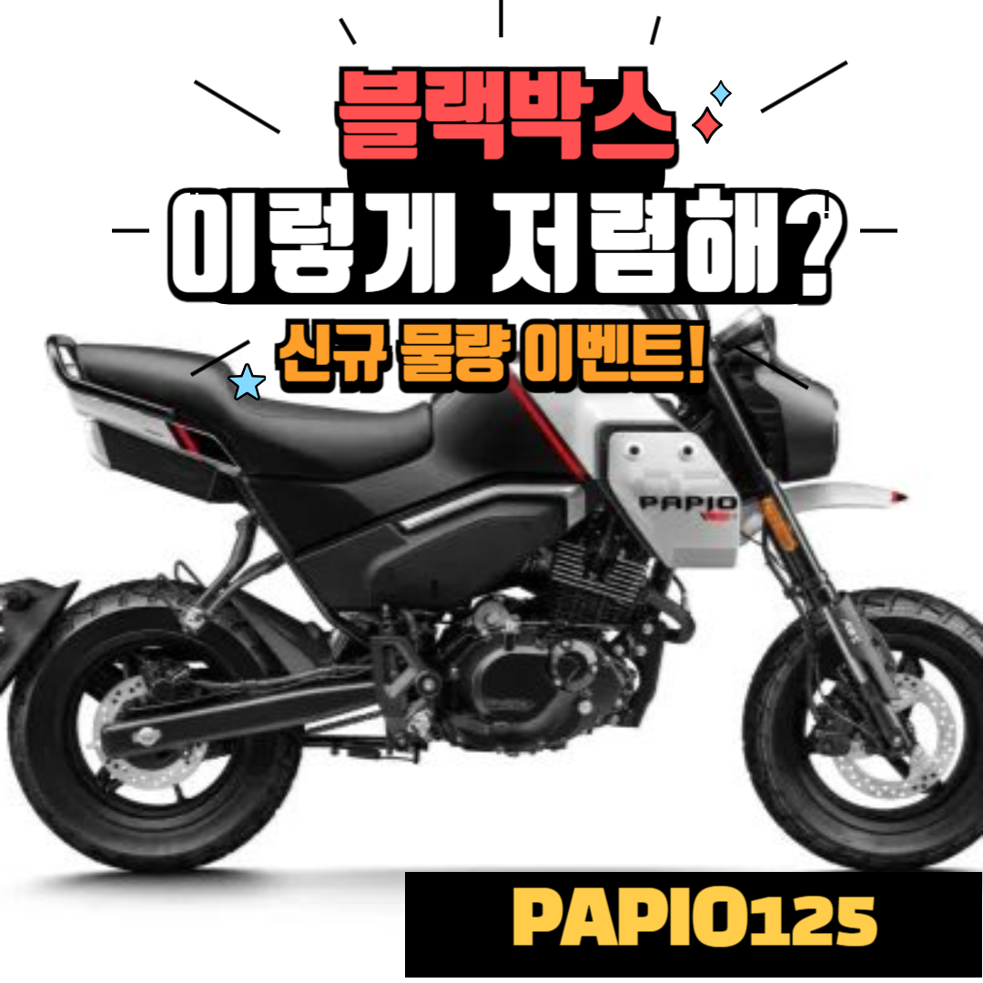 CF MOTO 파피오125 XO2 XO-2 트레일 / 그롬TNT몽키125 : 터보 모터스