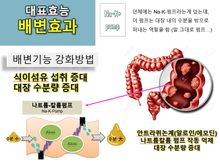 김정문 굿 센스 / 3개월분 : 자연건강알로에