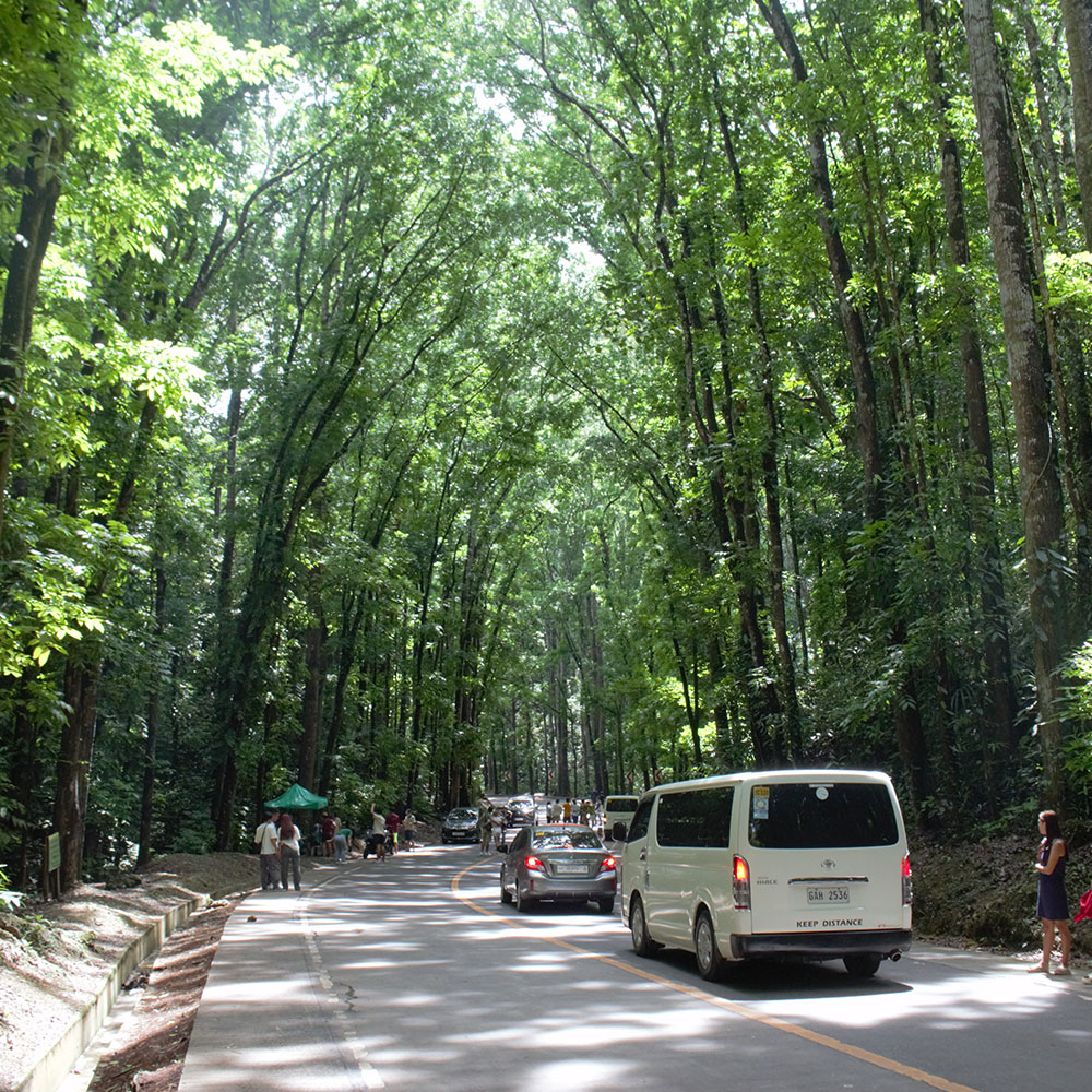 필리핀 보홀여행 패키지 자유여행 데이투어 One Day Countryside Tour : 필닷컴 여행사