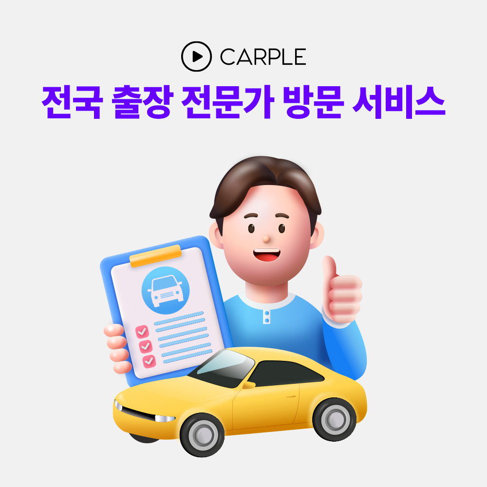 카플 후방카메라 출장 방문 장착 서비스 : CARPLE