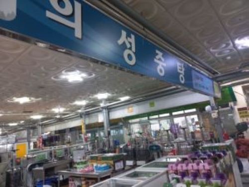양배추즙 (국내산 양배추 순수 진액 110ml 50개) : 의성중탕