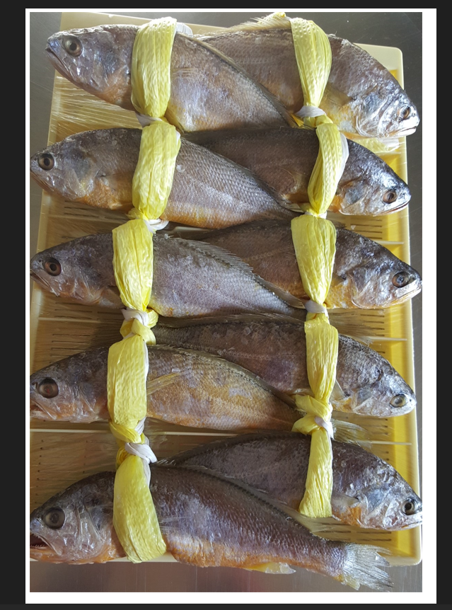 영광굴비 법성포굴비  국내산 명품굴비선물세트 10미 (1.4kg) : 명인궁중수산