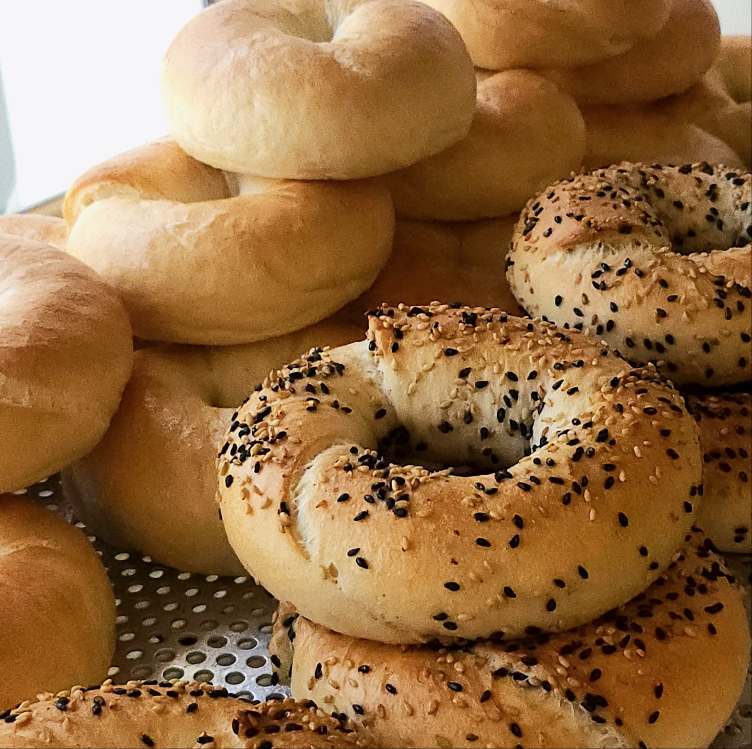 [빈앤도우]100% 유기농 수제 베이글 4종 organic bagel (플레인/참깨/소금버터/통밀) : 빈앤도우