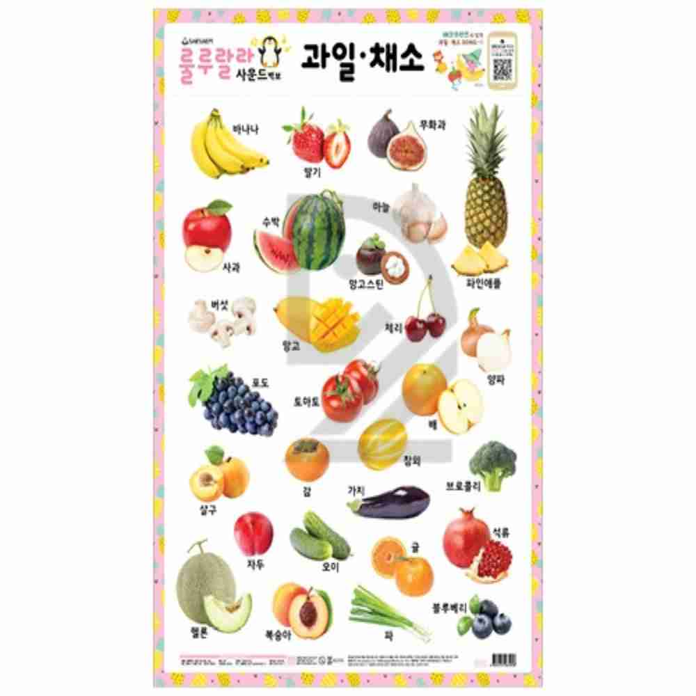 새샘 사운드벽보 과일 채소 520mmx765mm 학습포스터 한글포스터 : 플라워로드스토리