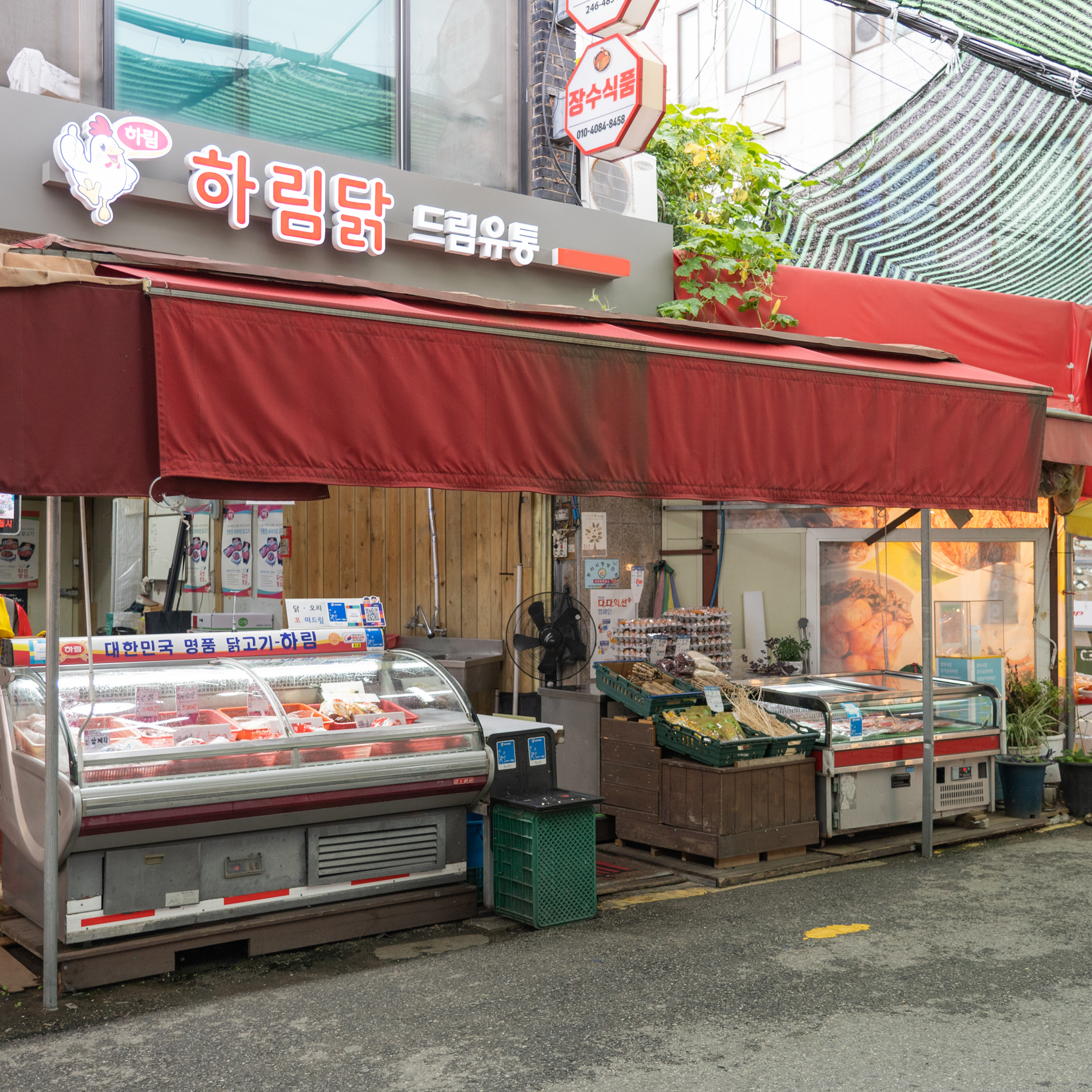[장안구,팔달구 배달] 크기도 맛도 좋은 토종닭 1.8kg [정자 하림닭집] : 동네시장 장보기