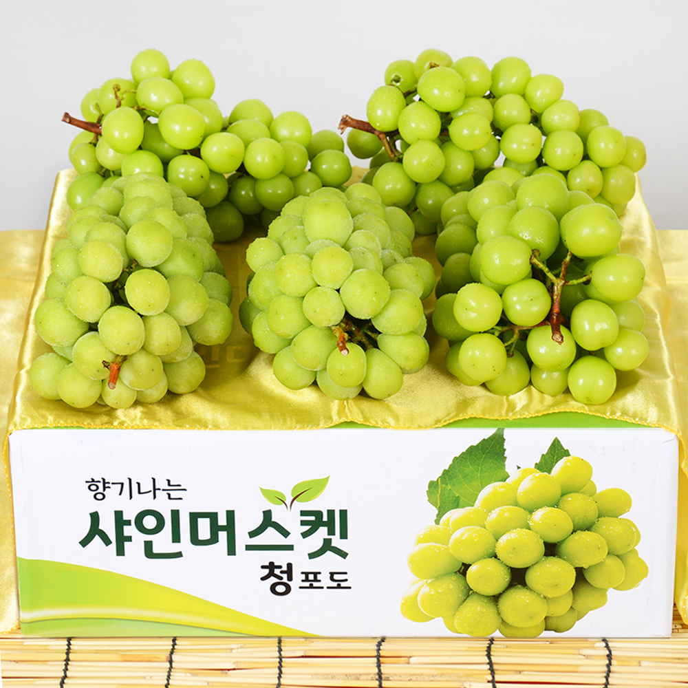 하늘내린 고당도 샤인머스켓 실속 : 하늘내린 과일마켓