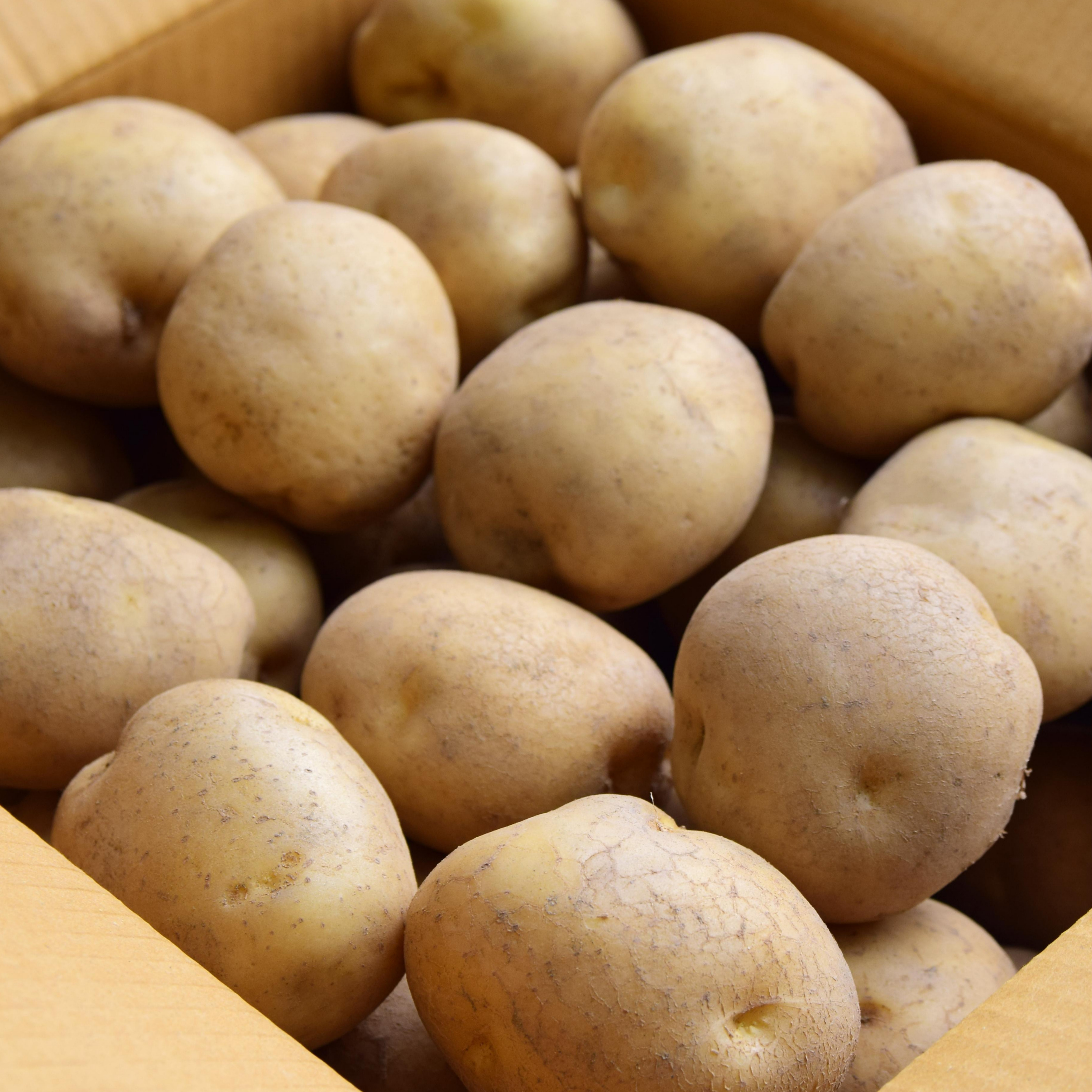 감자 20kg (대,국내산)BOX : 다봄 푸드