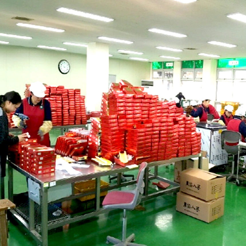 홍삼 고려인삼 건삼 고려삼 홍미삼 잔뿌리 1등급 농협검사품 300g : 생수삼청정