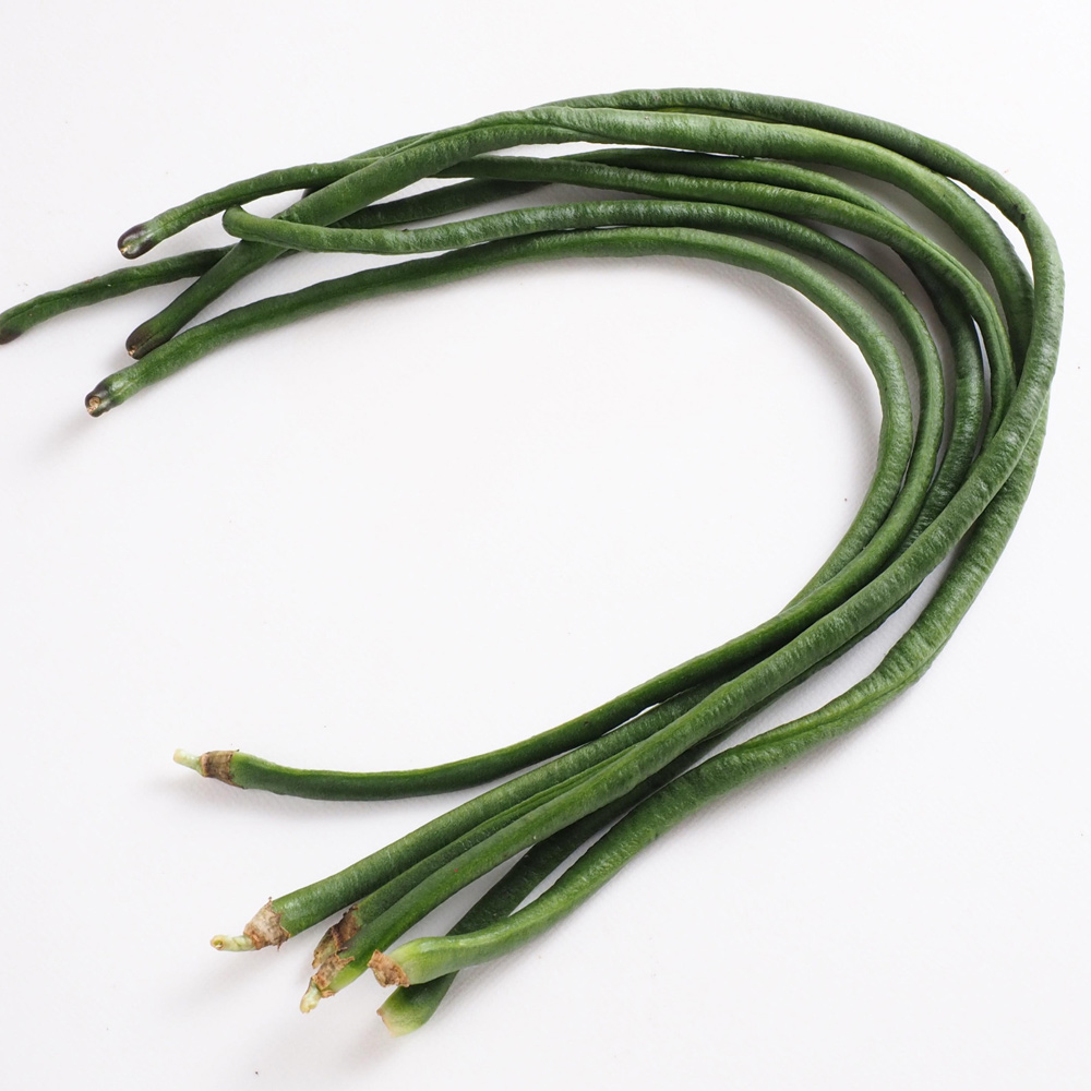 국내산 당일수확 줄콩 롱빈 500g 1kg 줄기콩 Dau dua / Long bean 동남아 식재료 : 김씨언니마켓