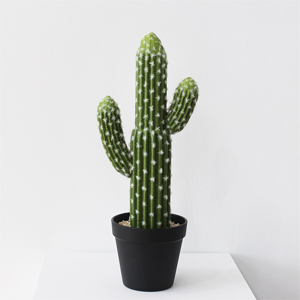 선인장 인조나무 인테리어 조화 화분 41cm : 스텝비