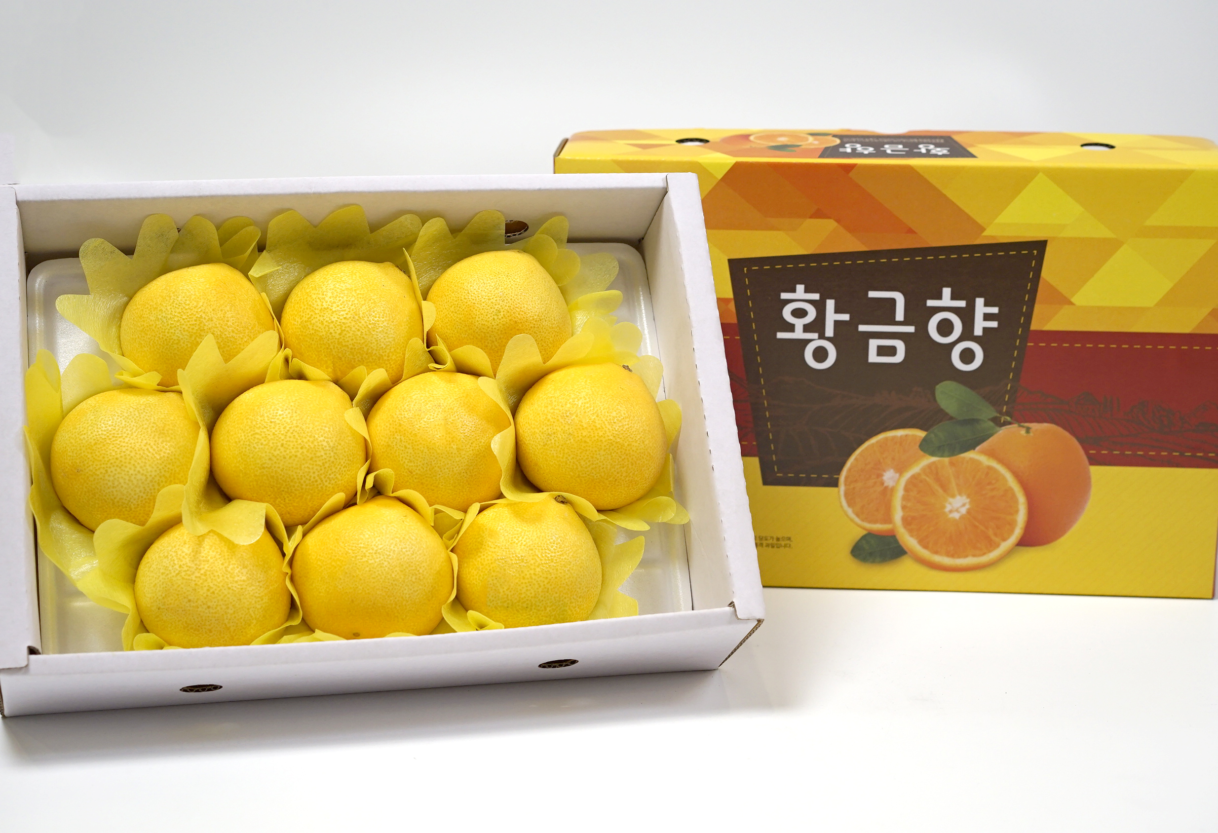 제주 황금향 3kg, 5kg 중대향 명절 선물세트 직접 포장 : 오늘애푸드