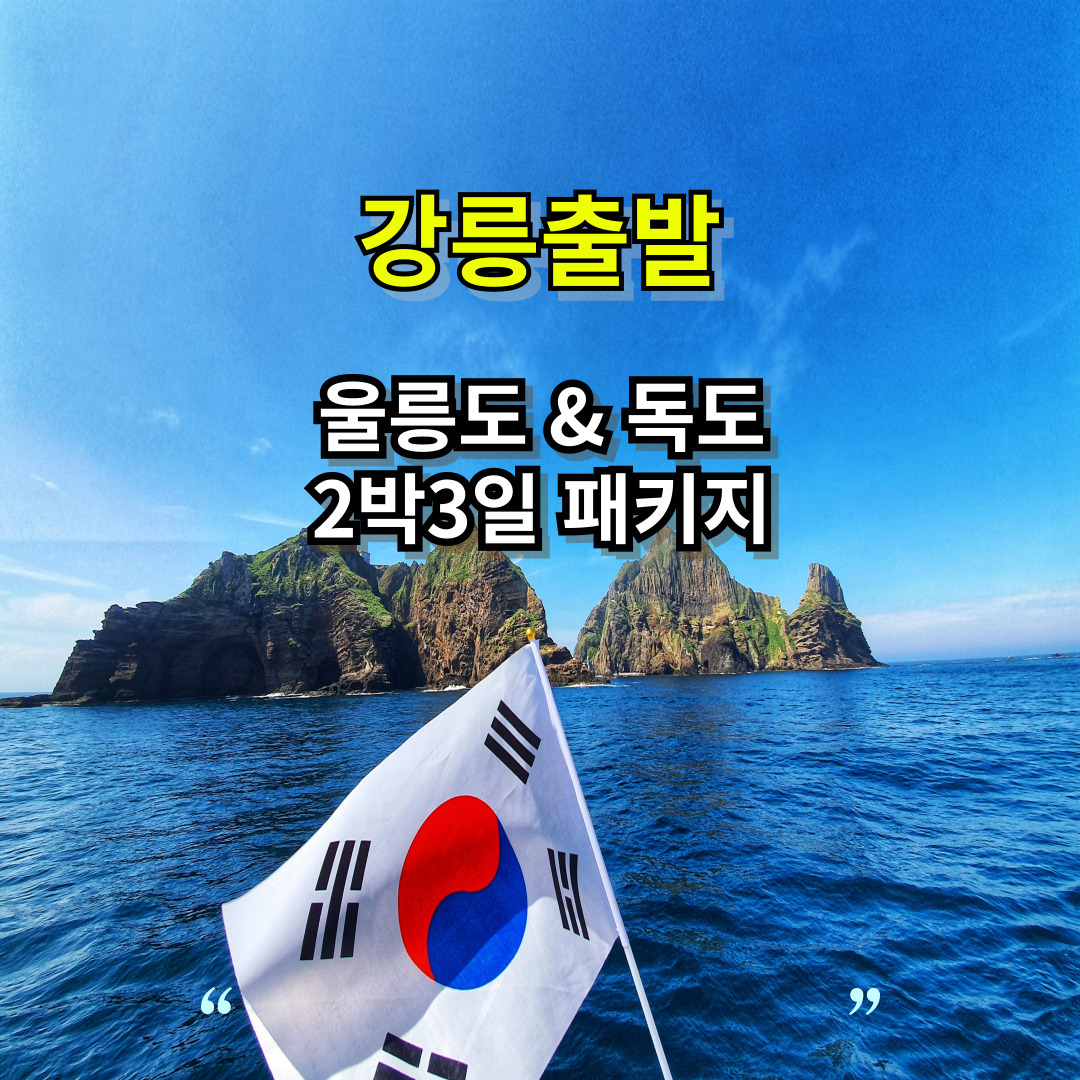 [강릉출발] 울릉도 2박3일 패키지 (독도관광 별도) : 보성블루투어