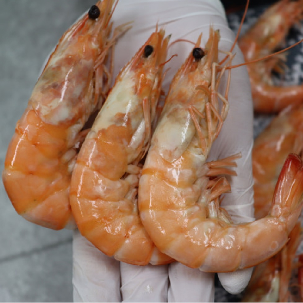 서천 서해안 자연산 대하 1kg (중 상 특 왕) 왕새우 큰새우 국내산새우 : 행복식탁