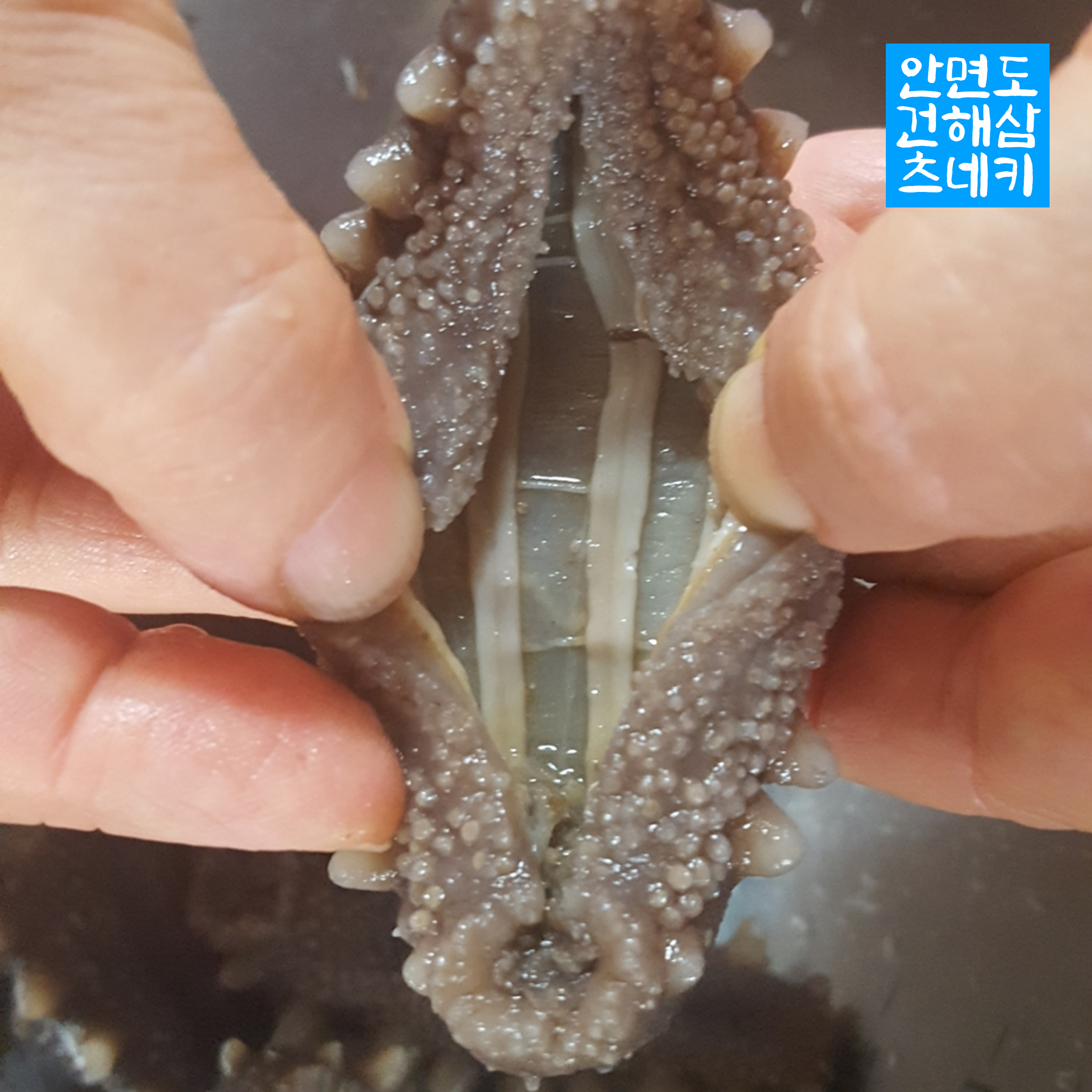 [안면도건해삼 츠네키] 안면도 자연산 건해삼 국내산 말린 해삼 제조 판매 160g : 안면도 마른생선 가게