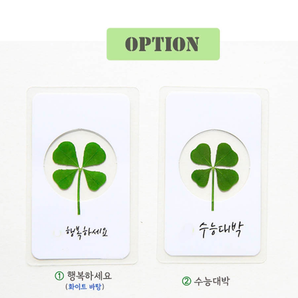 네잎크로바코팅 네잎클로버 수능생 선물 행운 메시지 책갈피 : 다온H