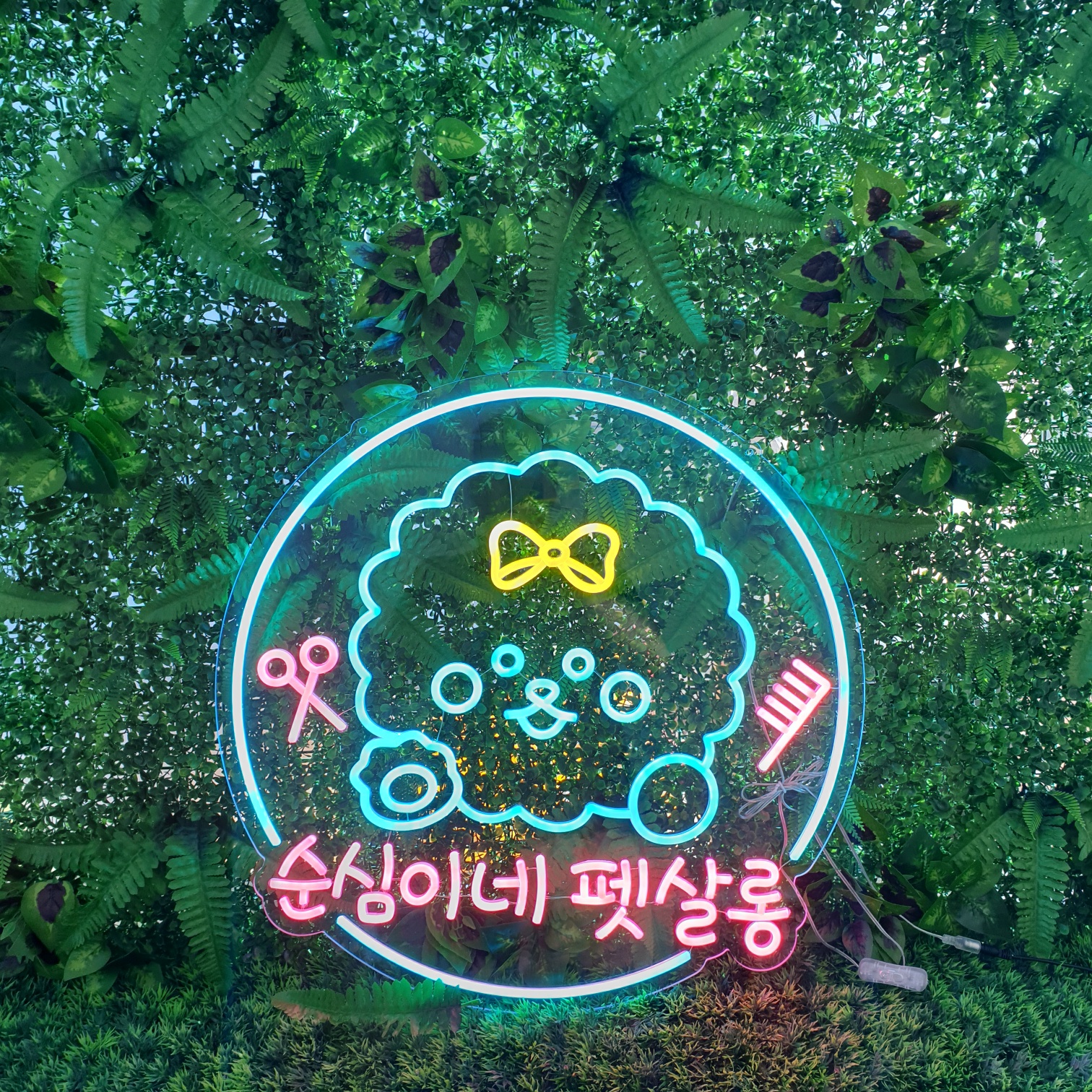 애견샵 네온 사인 간판 실내 인테리어 led 감성 조명 : 로고상상